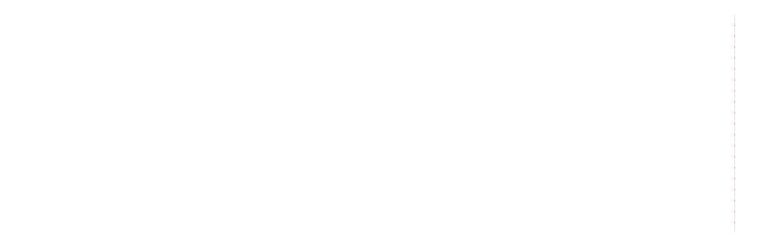 District C Logo White